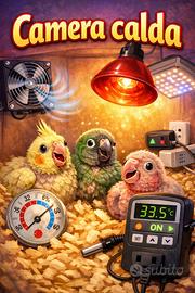 Camera Calda