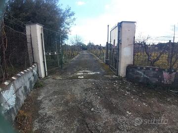 VILLA SINGOLA 260 mq con 4.870 mq di terreno