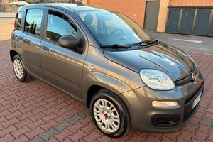 FIAT PANDA EASY 1.2cc IDONEA NEOPATENTATI
