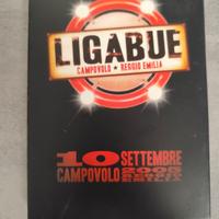 cofanetto concerto Ligabue Campovolo 2005