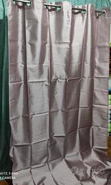 tenda anellato lucida