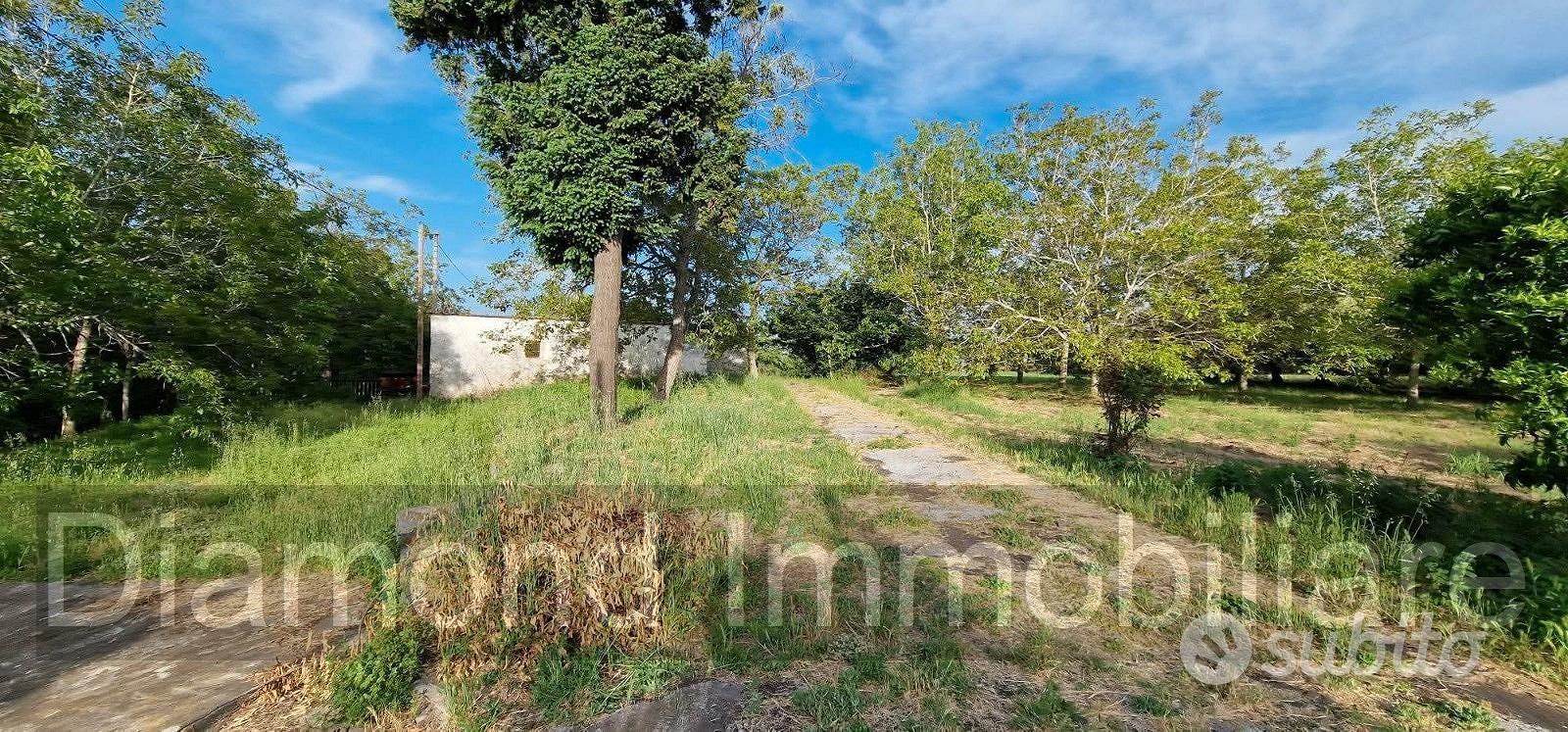 Fabbricato con terreno a Piedimonte Etneo - Vista 4