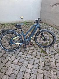 Bicicletta elettrica a pedalata assistita