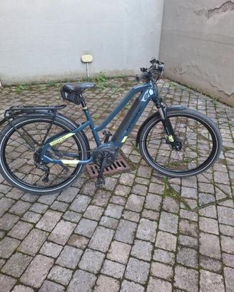 Bicicletta elettrica a pedalata assistita