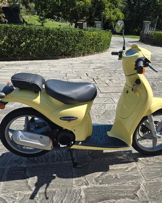 scarabeo 50 2t