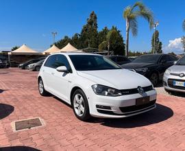 Volkswagen Golf 1.4 TGI DSG 5p. Executive 4 Free B