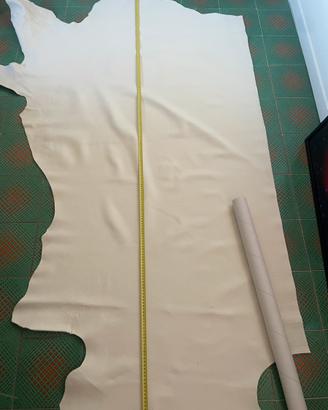 Pelle Bovina – Colore Bianco