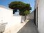 Immagine 19