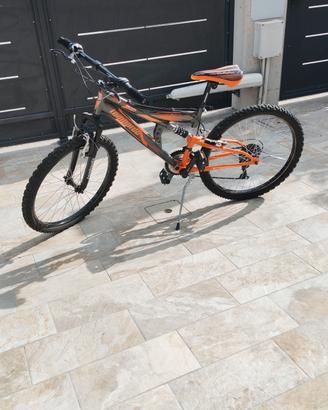 bici ragazzo da 24