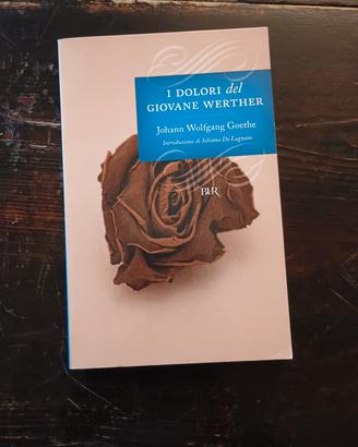 I dolori del giovane Werther