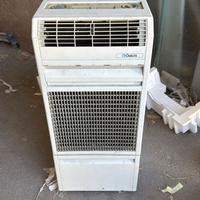 Condizionatore delchi