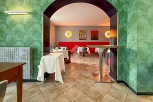 ATTIVITÀ A SAN FELICE DEL BENACO