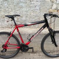 Mtb Olympia Leopard