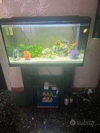 Vendo acquario 100 litri