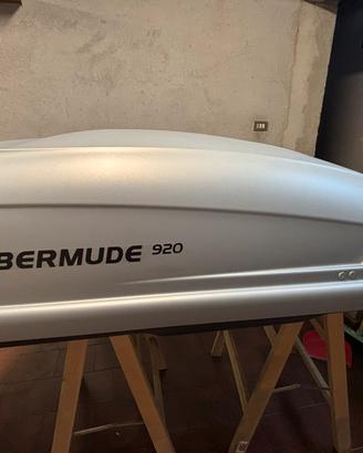 Baule per auto