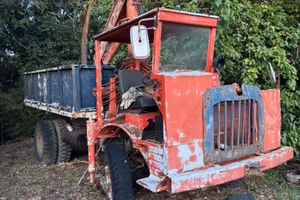 Fiat 639 4x4 con gru radiato