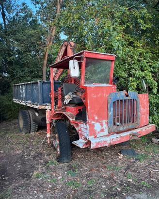 Fiat 639 4x4 con gru radiato