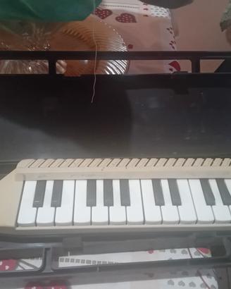melodica diamonica