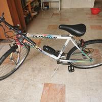 Mountain bike esperia