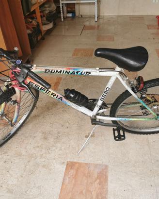 Mountain bike esperia
