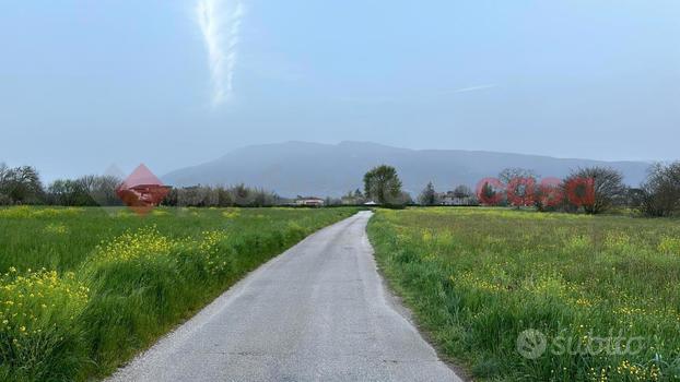 Terreno Agricolo Anagni [Cod. rif 3140534VCG]