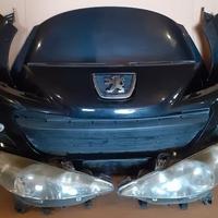 Peugeot 207 Muso / Musata Frontale 2010