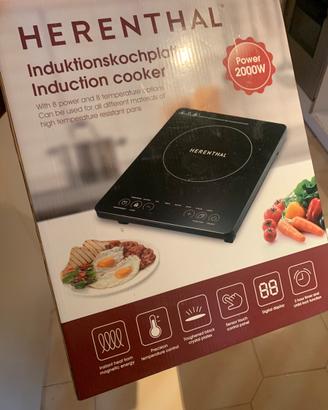 Fornetto elettrico a induzione nuovo mai usato