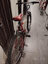 bici mountain bike