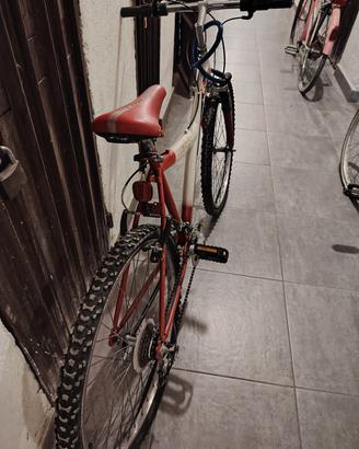 bici mountain bike