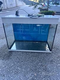 Acquario Askoll Pure Led 130L