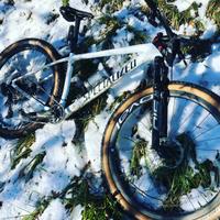 Mtb specialized