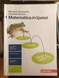 Matematica.in3passi - Vol. 1