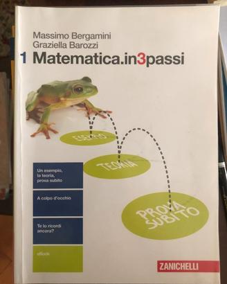 Matematica.in3passi - Vol. 1