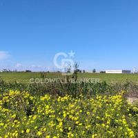 Terreno - Brindisi
