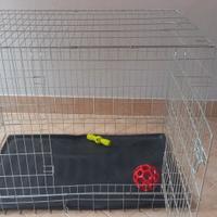kennel x cani di grossa taglia