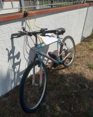 Bici mountain bike