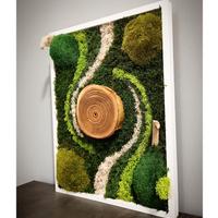 Quadro vegetale muschio Stabilizzato e Licheni