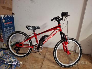 bicicletta Bemmex bambino