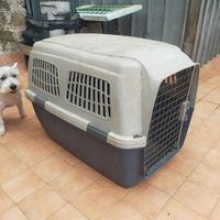 Trasportino per cani