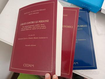 Diritto penale parte speciale