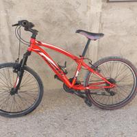 bici GFM 24