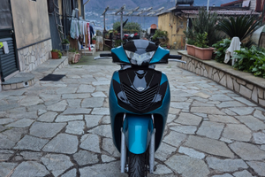 Sh 125 2010 modifica 180