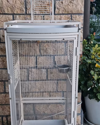Gabbia Pappagalli / Uccelli