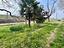 Immagine 27