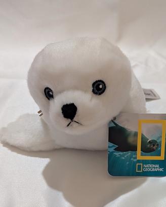 Peluche, Foca , National Geographic, nuovo