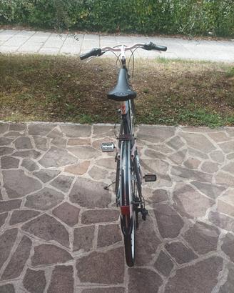 bicicletta Bottecchia