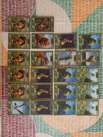 carte del viaggio di Arlo