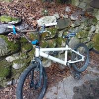 bici bmx