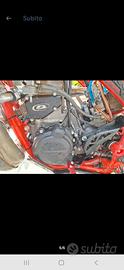 beta 300 rr 
