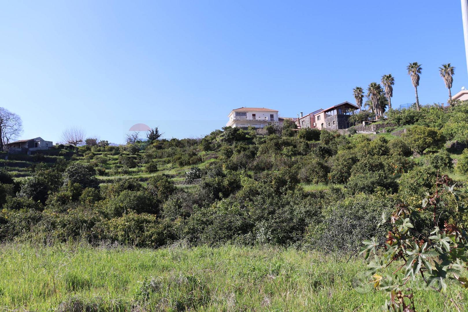 Terreno - Mascali - More